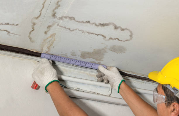 Reliable Sewage Cleanup contractor in Port Reading, NJ by Water Damage Irwin